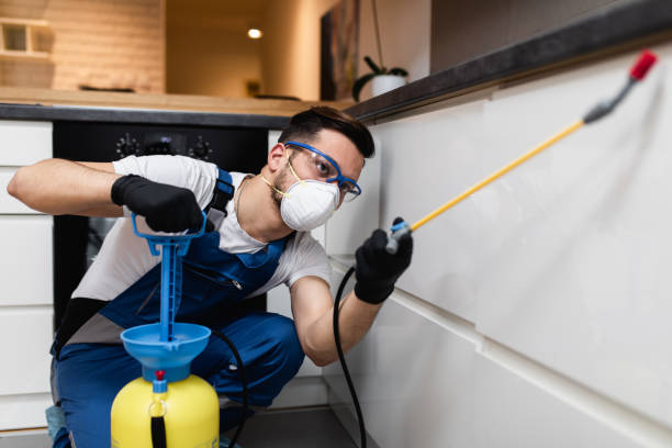 Best Wildlife Control Services  in Anza, CA
