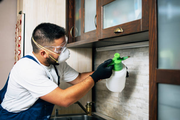 Best Wildlife Control Services  in Anza, CA
