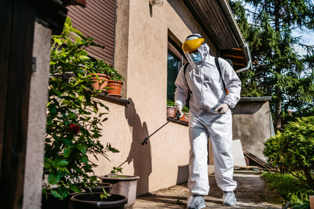 Best Wasp Removal Services  in Anza, CA