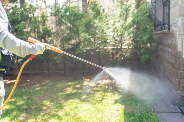Best Flea Control Services  in Anza, CA
