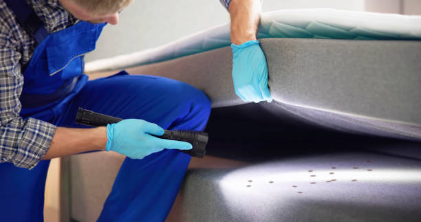 Best Exterminator Services  in Anza, CA