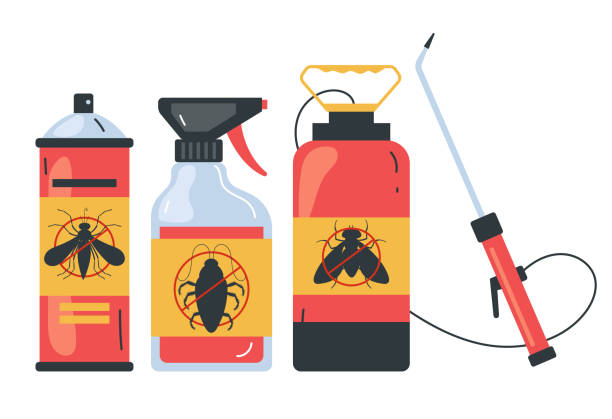 Best Pest Inspection Near Me  in Anza, CA