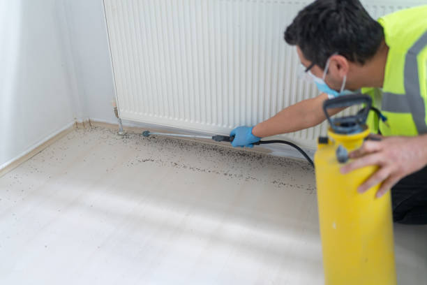 Best Bed Bug Extermination  in Anza, CA