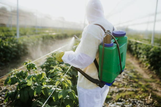 Best Ant Control Services  in Anza, CA